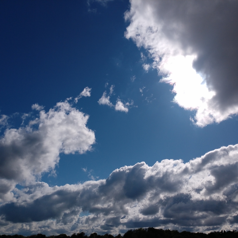 20% bundle discount on 2 or more items with 5lb limit.